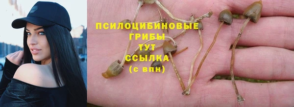 бошки Елабуга