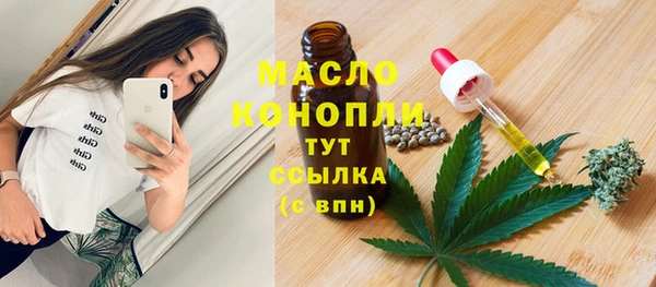 бошки Елабуга