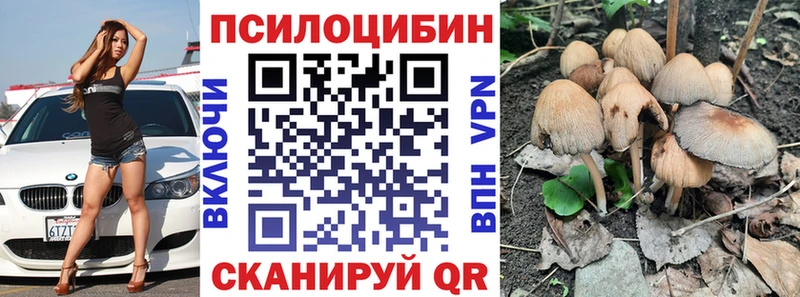 Купить закладки  Строитель  Галлюциногенные грибы MAGIC MUSHROOMS 