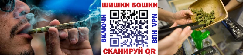Купить  Строитель  Бошки Шишки ГИДРОПОН 